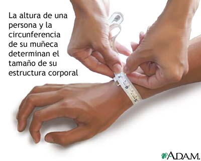 C&aacute;lculo del tama&ntilde;o de la estructura corporal