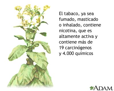 Tabaco y sustancias qu&iacute;micas
