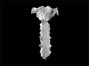 Estern&oacute;n - Vista exterior de la parte anterior