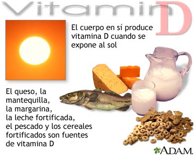 Fuentes de vitamina D