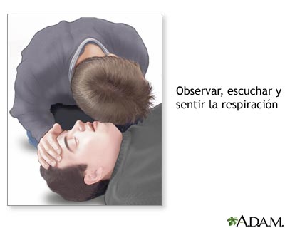 Verificar la respiraci&oacute;n