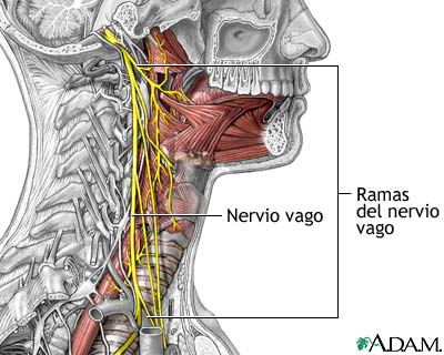 Tratamiento de la epilepsia