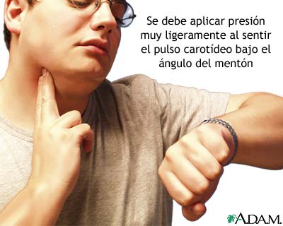 C&oacute;mo tomar el pulso carot&iacute;deo
