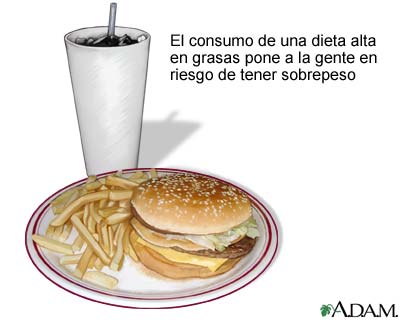 Comida r&aacute;pida