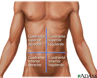 Cuadrantes abdominales