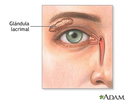 Gl&aacute;ndula lacrimal