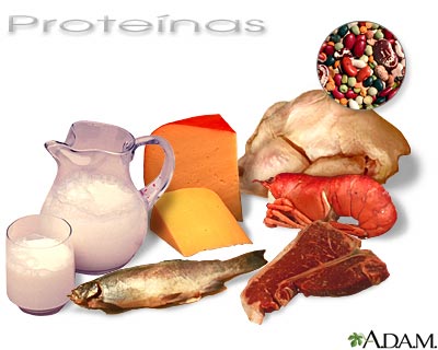Prote&iacute;nas