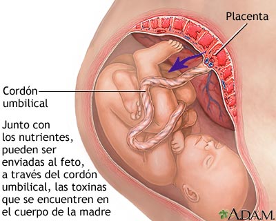 Drogadicci&oacute;n durante el embarazo