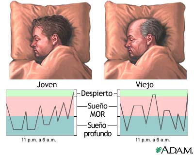 Patrones de sue&ntilde;o en el joven y en el viejo