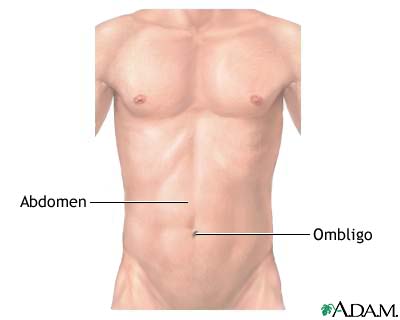 Abdomen externo normal