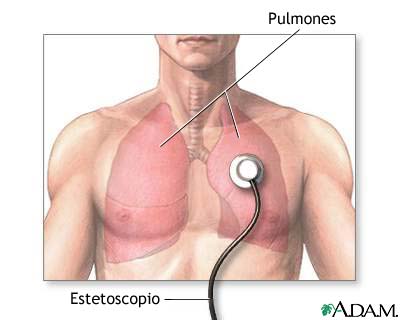 Sonidos de la respiraci&oacute;n