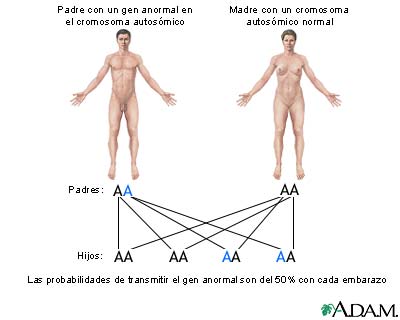 Genes autos&oacute;micos dominantes