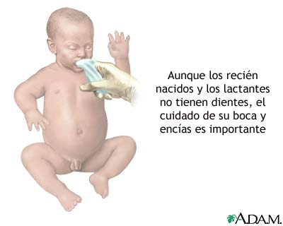 Cuidado dental del lactante
