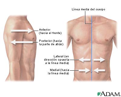 Orientaci&oacute;n lateral