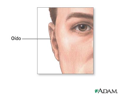 Protuberancia del o&iacute;do