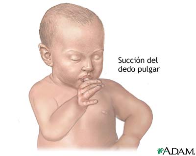 Succi&oacute;n del pulgar