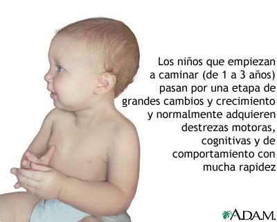 Evoluci&oacute;n del ni&ntilde;o que comienza a andar