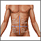 Cuadrantes abdominales